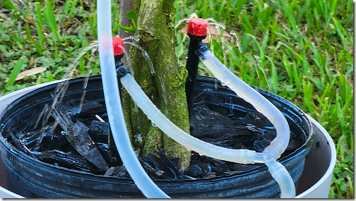 Hibiscus Sprinklers