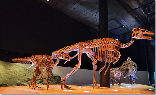 Museum Dinosaur 2