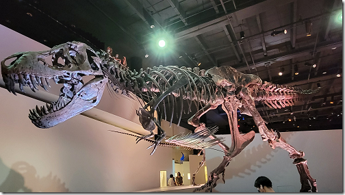 Museum Dinosaur T-Rex