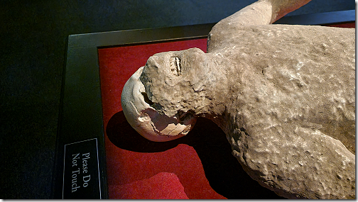 Museum Pompeii Body 4