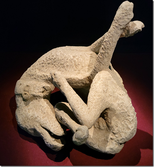 pompeii bodies dog