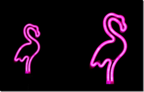 Neon Flamingos