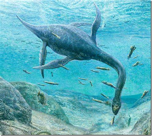 Plesiosaur