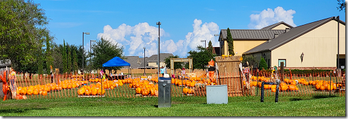 Hwy 96 Pumpkin Patch