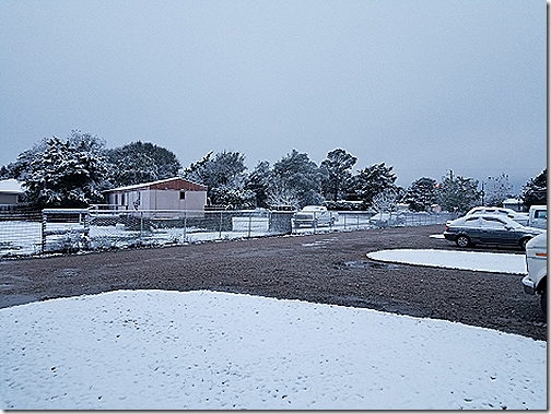 Snow in Park