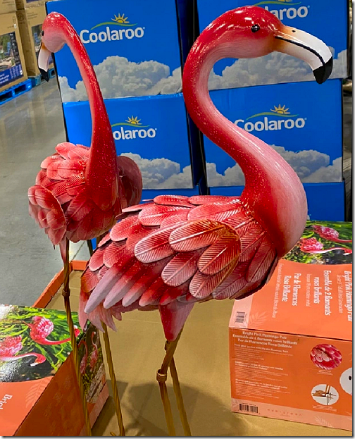 Costco Flamingos