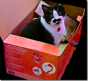 Karma in Flamingo Box