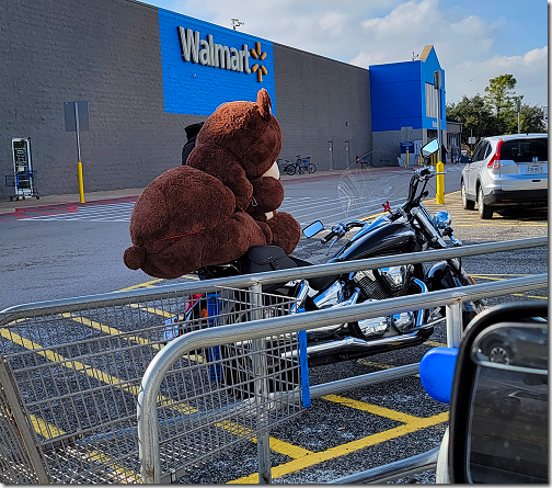 WalMart Teddy Bear on Motorcycle 1