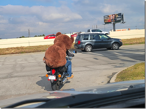 WalMart Teddy Bear on Motorcycle 2