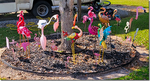 Flamingo Flamboyance from Side 20220305