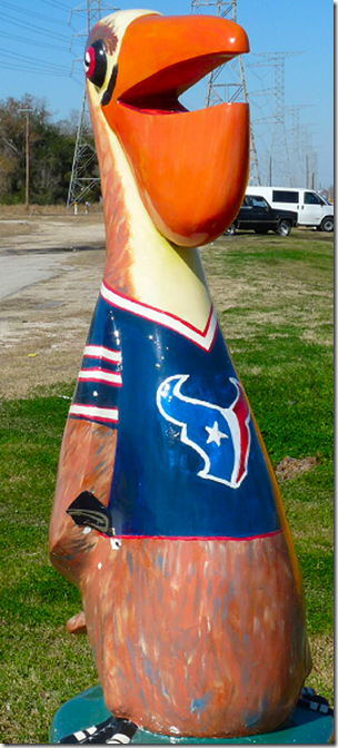 Seabrook Pelican Mascot 6