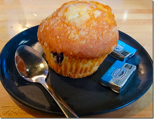 Gator's Blueberry Muffin 20220220