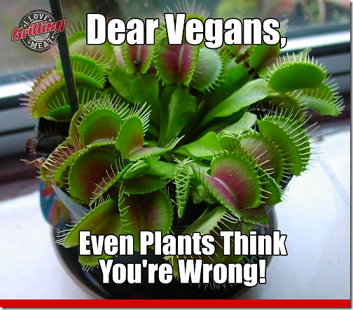 Dear Vegans