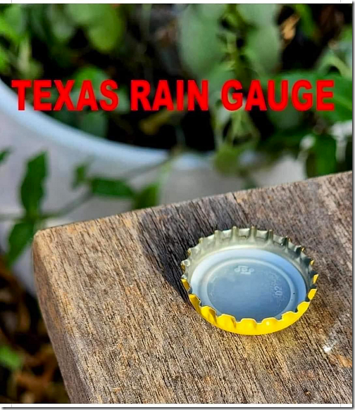 Texas Rain Gauge