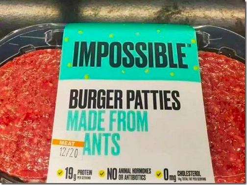 Made From Ants