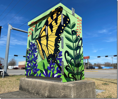 Painted Traffic Control Box 2