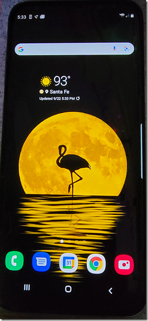 S8  Flamingo Screen