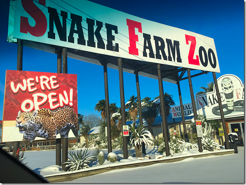Animal World & Snake Farm