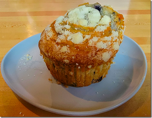 Gator's Keto Bluebery Muffin  20230210