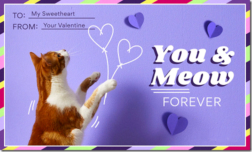 Happy Valentine's Day Meow