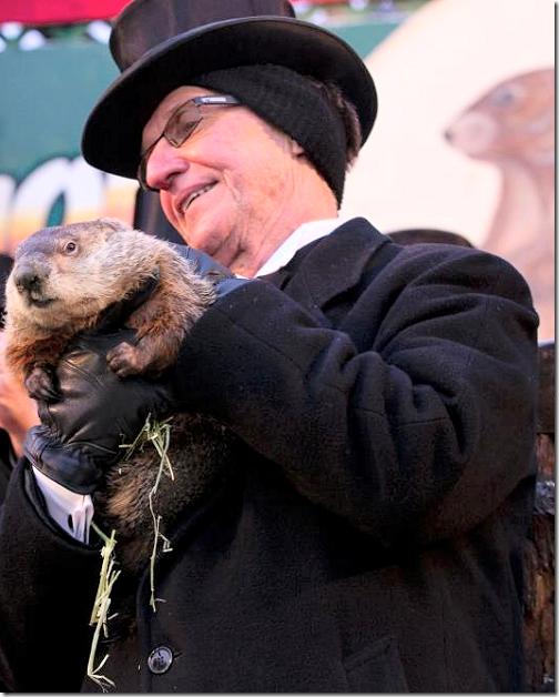 Punxsutawney Phil