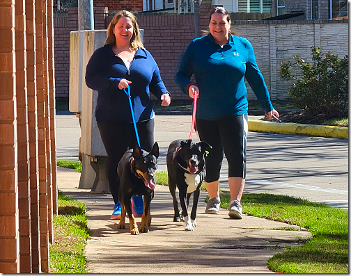 Walking Jack and Baxter